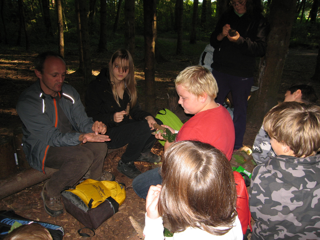 Wald 032_jpg-1275817980