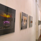 KOE_Ausstellung LM Fotografie 5.jpg