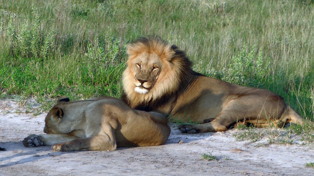 Botswana Foto 5.jpg