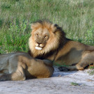 Botswana Foto 5.jpg