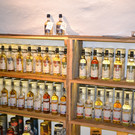 DSC_0687.JPG