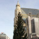 IMG_2541.JPG