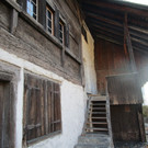 IMG_3458.jpg