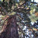IMG_3493.jpg