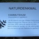 IMG_3495.jpg