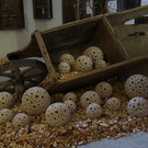 DSC01909.JPG