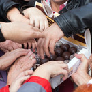 file6n2scw7jmmp13vsaz2kn.jpg