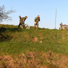 Par8325985.jpg