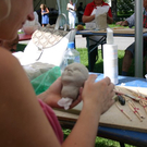 IMG_0478.JPG