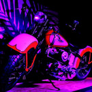 IMG_6262 _Copy_ _2_.jpg
