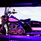 IMG_6279 _Copy_ _2_.jpg