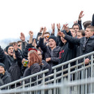 file6n4dzkfmp0n11ehvils4.jpg