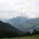 IMG_9217.JPG