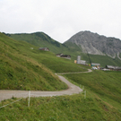 IMG_9219.JPG