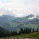 IMG_9218.JPG