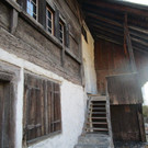IMG_3458.jpg