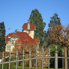 IMG_3485.jpg