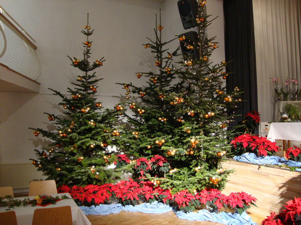 Blumenschmuck Gala 1.JPG