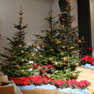 Blumenschmuck Gala 1.JPG