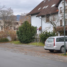 DSC_0006 _1_.JPG