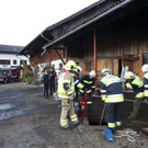 WeilerTierrettung08.jpg