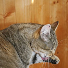 s__file_4_okt_15.jpg