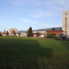 IMG_9775.JPG