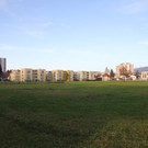 IMG_9776.JPG