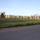 IMG_9779.JPG
