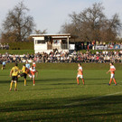 PB080077.JPG