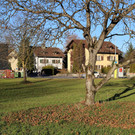 IMG_9844.JPG