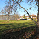 IMG_9847.JPG