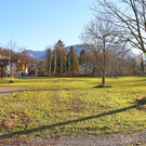 IMG_9851_Titel.jpg
