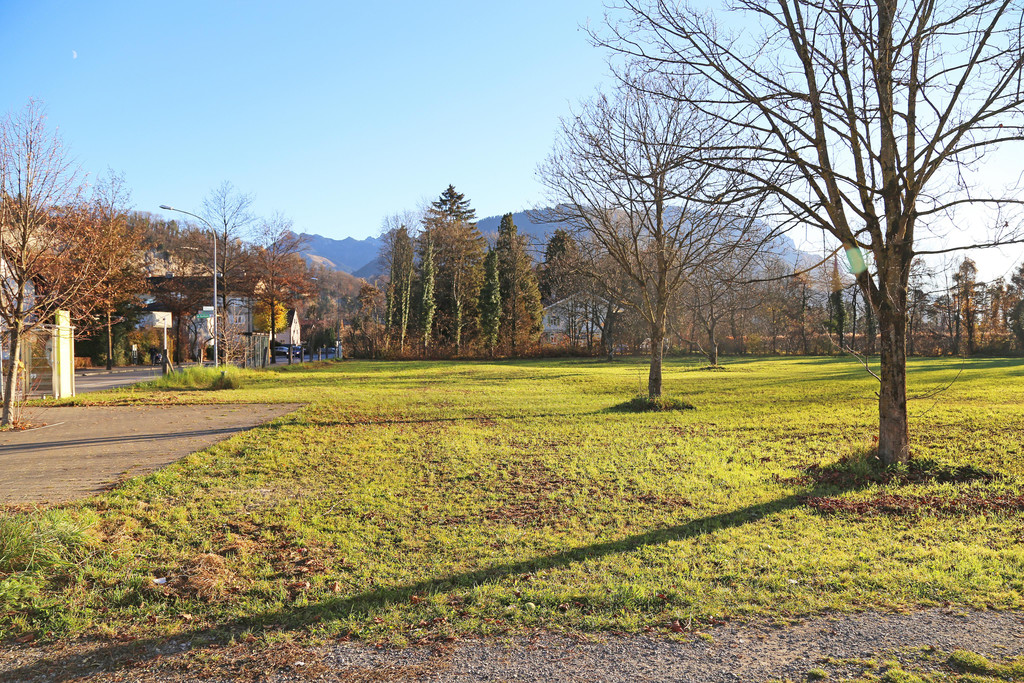 IMG_9851_Titel.jpg