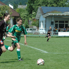 DSC_7071_JPG-1275849621