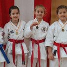 Shotokan Karate Club Lustenau