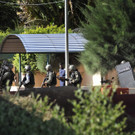 Par8335013.jpg
