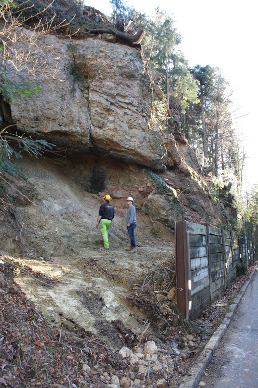 Pf__nderstra__e Felssicherung Kugelbeerbach Unterhaggen NOV 2015 _19_.JPG
