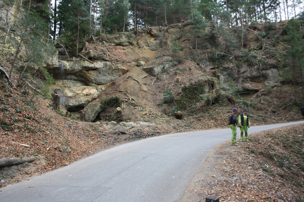Pf__nderstra__e Felssicherung Kugelbeerbach Unterhaggen NOV 2015 _2_.JPG