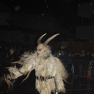 DSC_0228_JPG-1448180316.jpg
