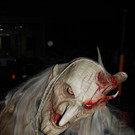 DSC_0219.JPG