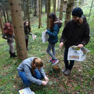 MS Hasenfeld besucht Waldschule