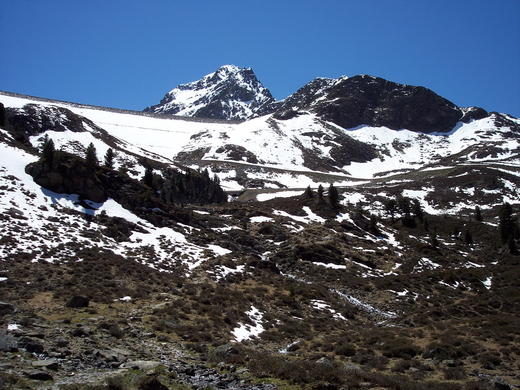 100_4434.JPG
