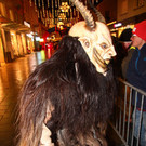 IMG_7307.JPG