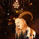 IMG_7252.JPG