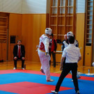 Kyorugi_LM201515.jpg