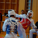 Kyorugi_LM201517.jpg