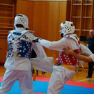 Kyorugi_LM201518.jpg