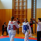 Kyorugi_LM201526.jpg