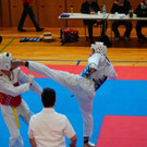 Kyorugi_LM201527.jpg